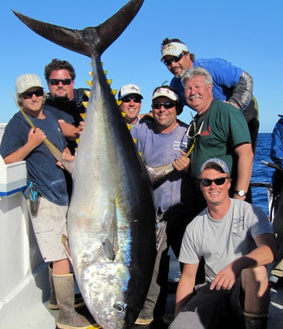 World Record Yellowfin!